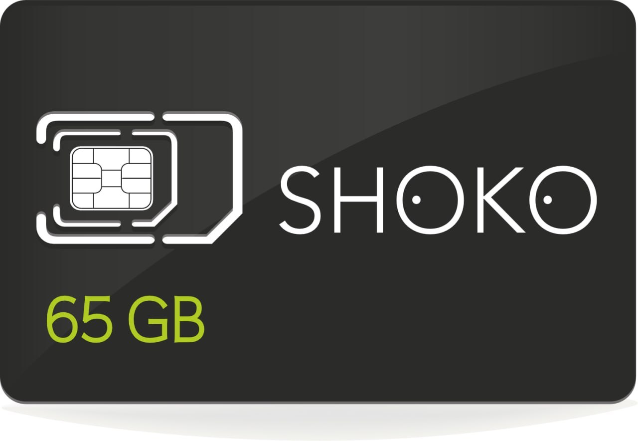 Shokosim65